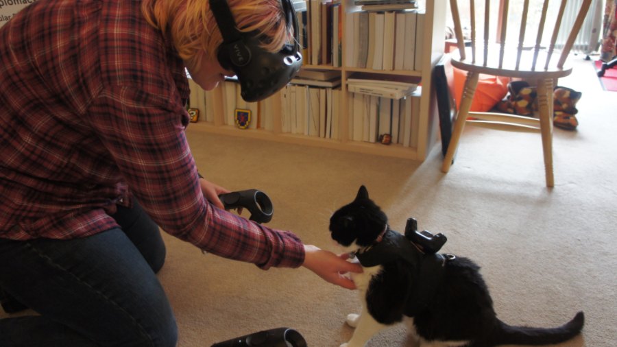World's First Cat Wearing A VR Tracker, No One Ends Up Kicking Him