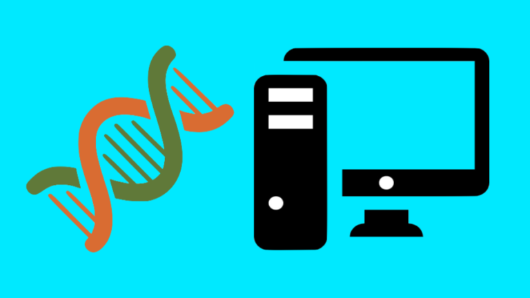 computer operating system in dna
