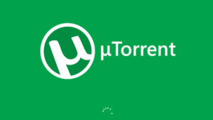 how torrent works