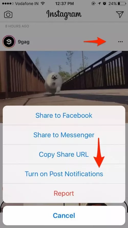 instagram tips tricks notifications