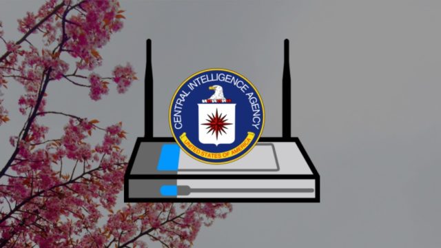 Cherry blossom cia main Cherry blossom cia main