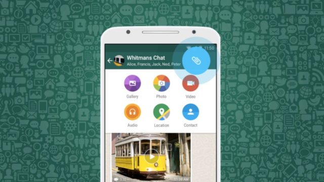 Whatsapp file share main