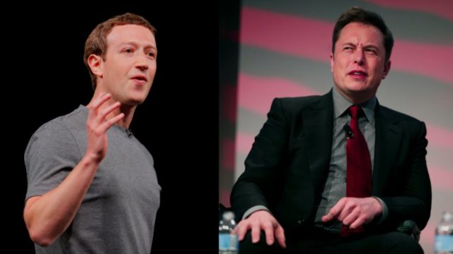 musk trolls zuckerberg