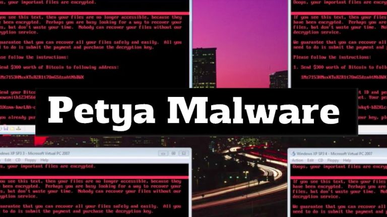 What Happens When Your PC Is Hit With Petya/NotPetya? — Watch Here