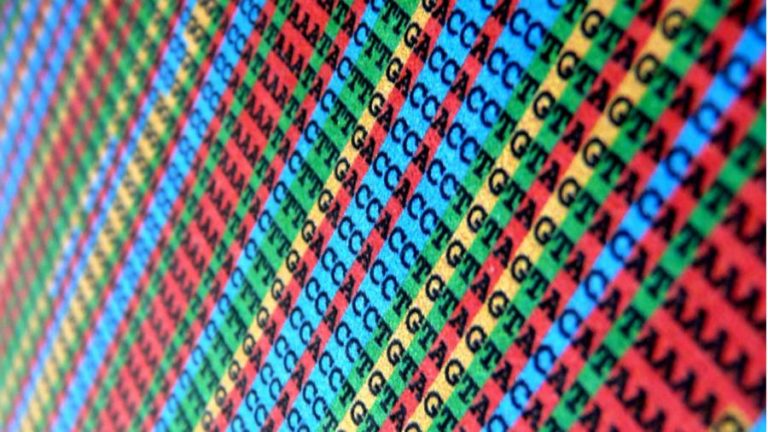 DNA Hacking: Malicious Code Written Into A DNA Strand Can Hack A Computer