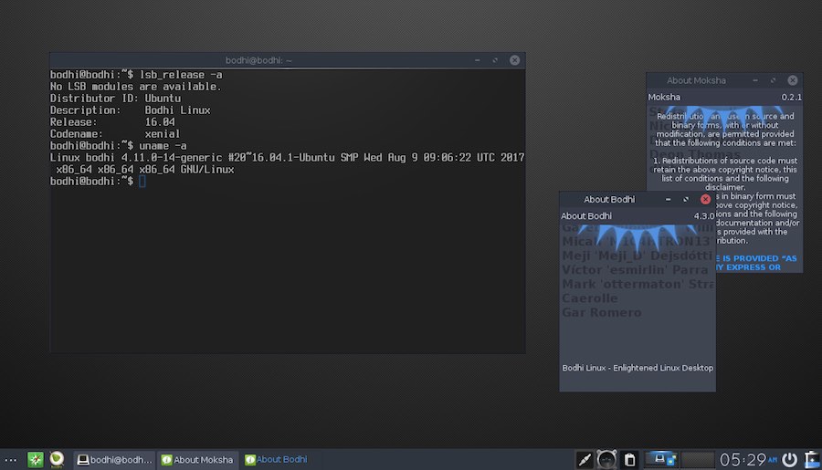 bodhi linux 4.3.0 terminal