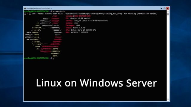 Windows Subsystem For Linux (wsl) Comes To Windows Server — Here's How 