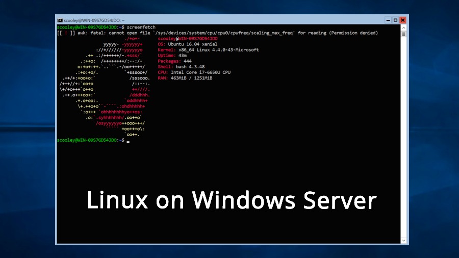 windows subsystem for linux vs mac