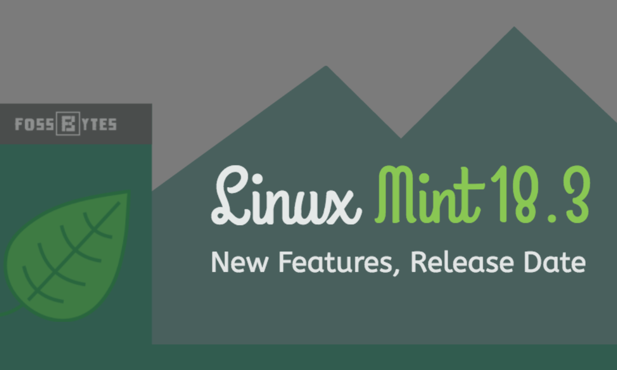 leer attribuut vriendelijke groet Linux Mint 18.3 Features: What's Hot In Next Version