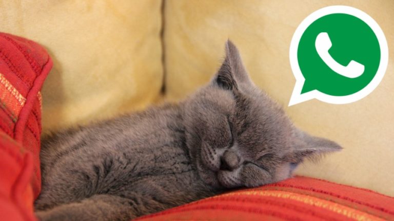 Whatsapp hack sleeping habit