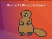 Ubuntu 18.04 Bionic Beaver