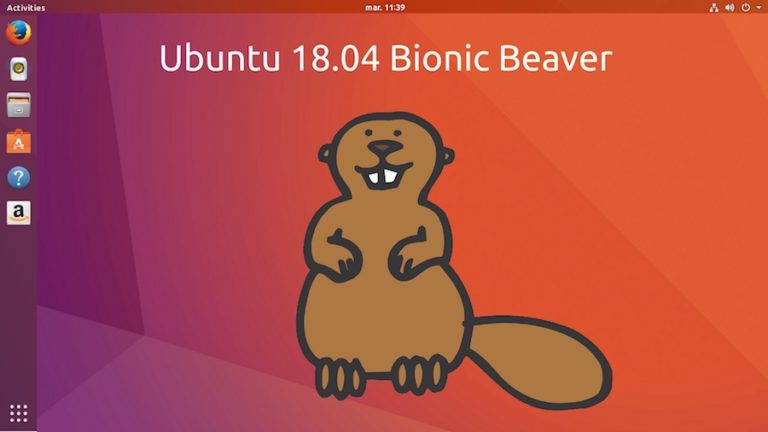 Ubuntu 18.04 Bionic Beaver