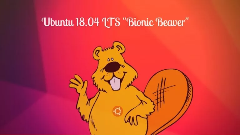 ubuntu 18.04 bionic beaver