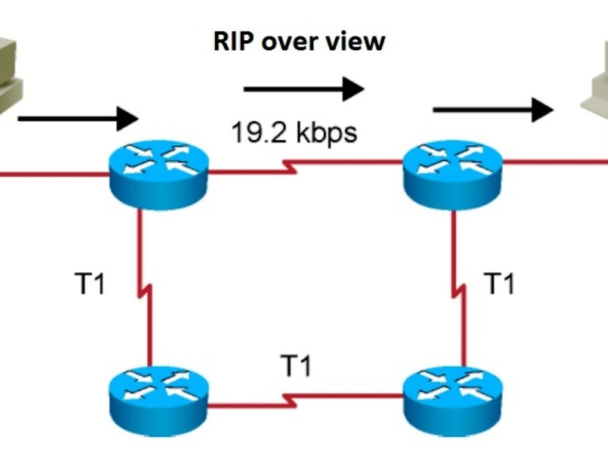 Опишите схему работы протокола rip