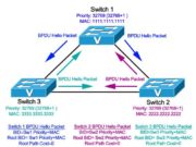 Root Bridge Election process