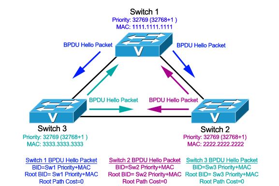 STP Network description