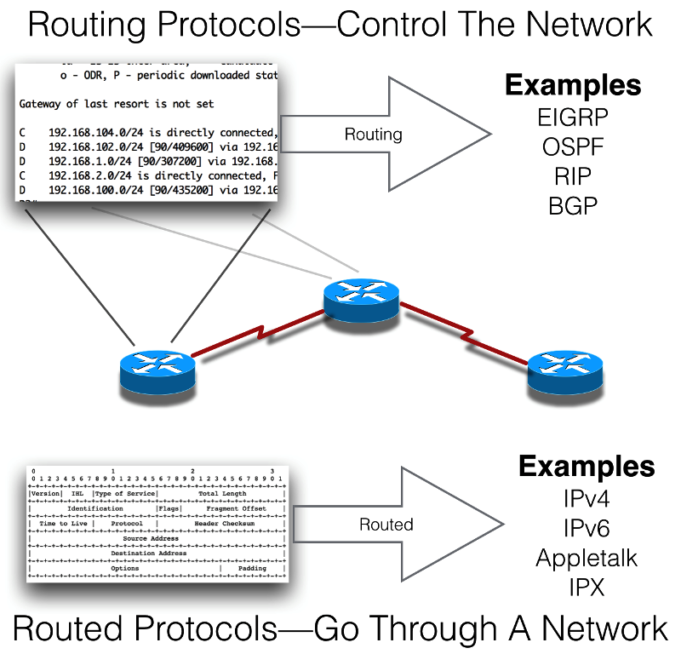 What Is Routing Protocol - www.vrogue.co