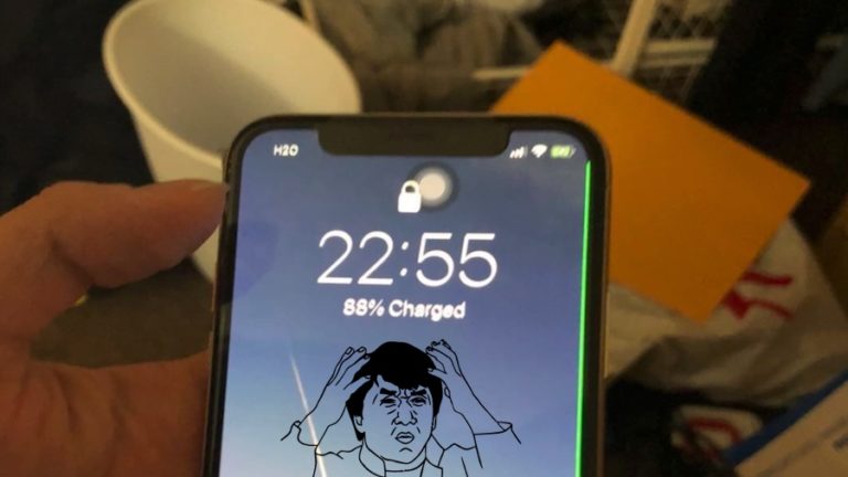 iphone x issues problems green line of death
