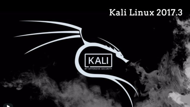 kali linux 2017.3