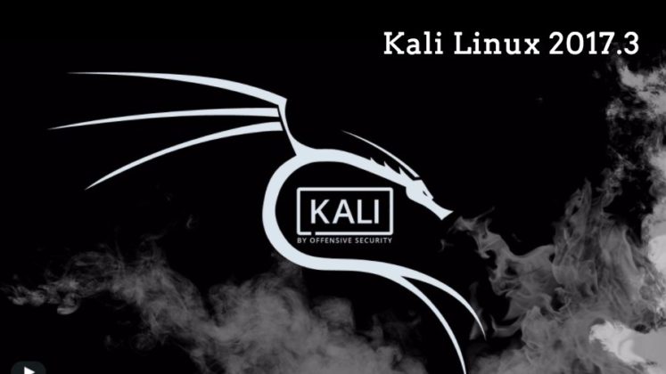 kali linux iso image download