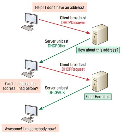 DHCP Processes