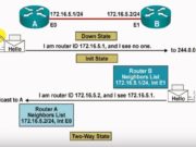 OSPF Hello packets