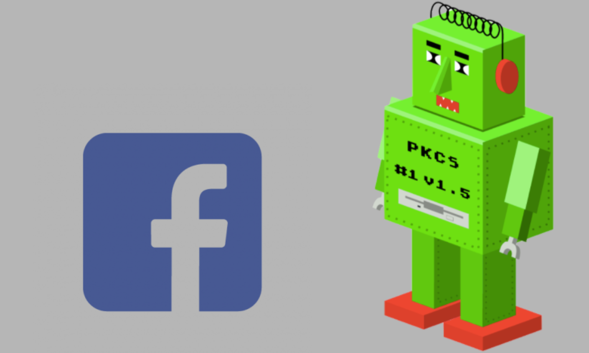ROBOT Attack: 19-Year-Old Bug Returns More Power To Target Facebook & Paypal