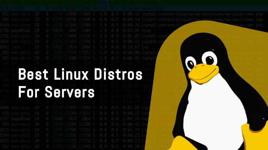 server linux distros