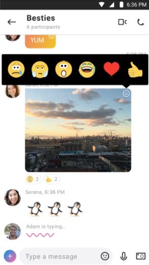 Skype- Video chat app