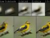 drawing-bot-feature-microsoft ai artist