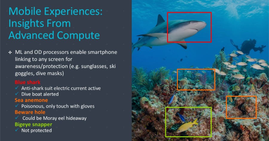 Arm Project Trillium 1 Object Detection