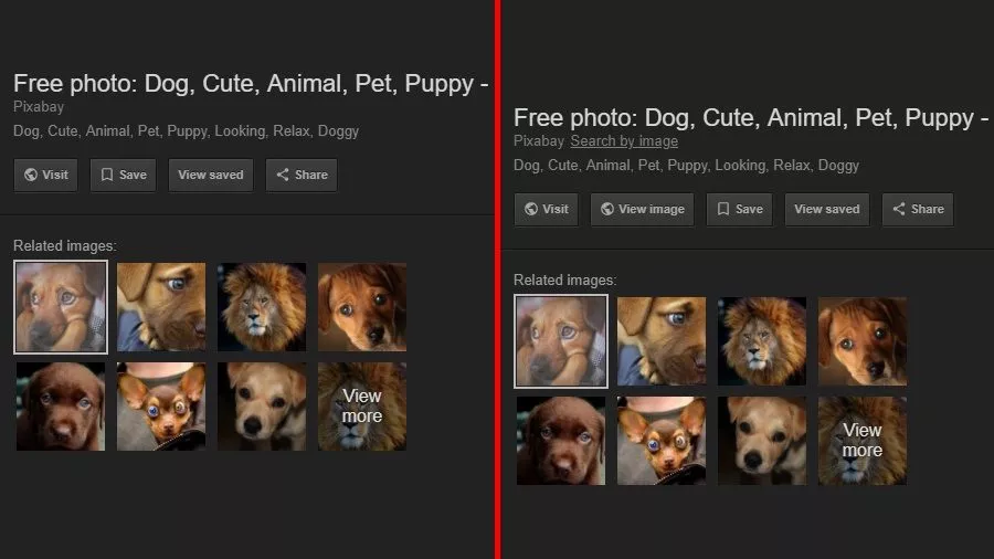Google Image Search View Image Alternative 3 extension