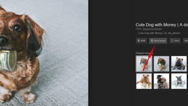 Google Image Search View Image Alternatives