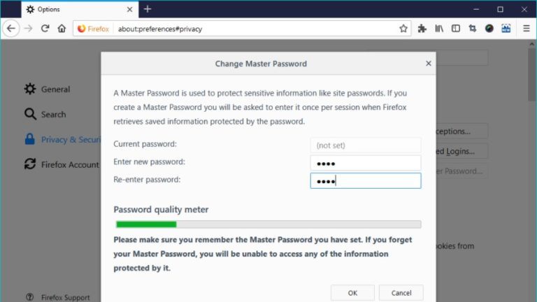 Firefox Master Password Weak Encryption