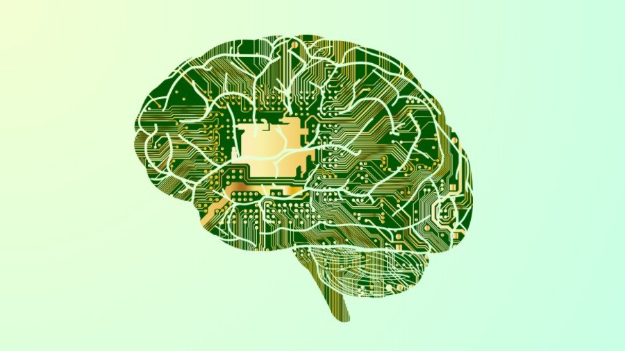 brain computer human