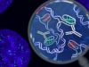 New DNA i-motif