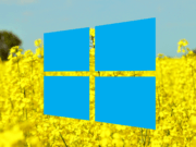 Windows 10 block auto updates