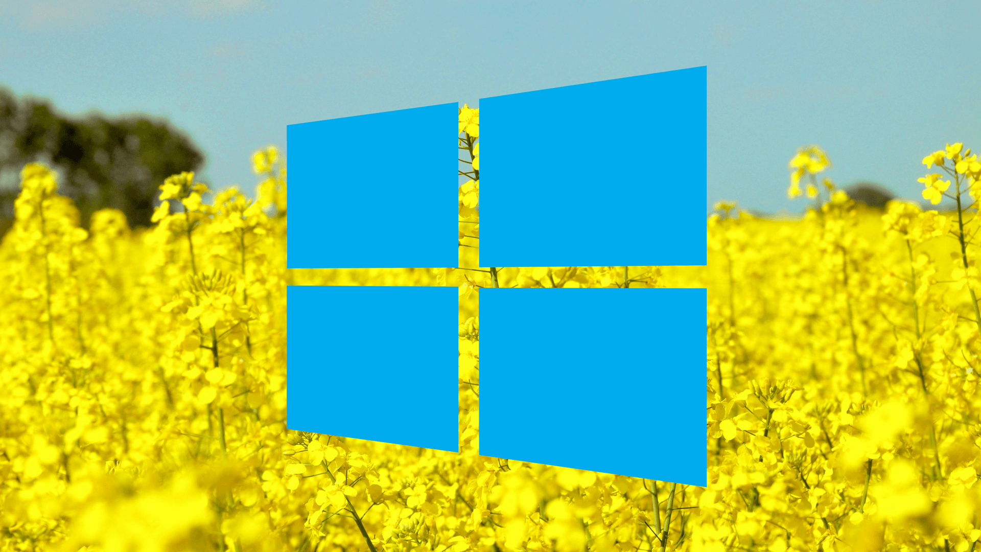 Windows 10 block auto updates