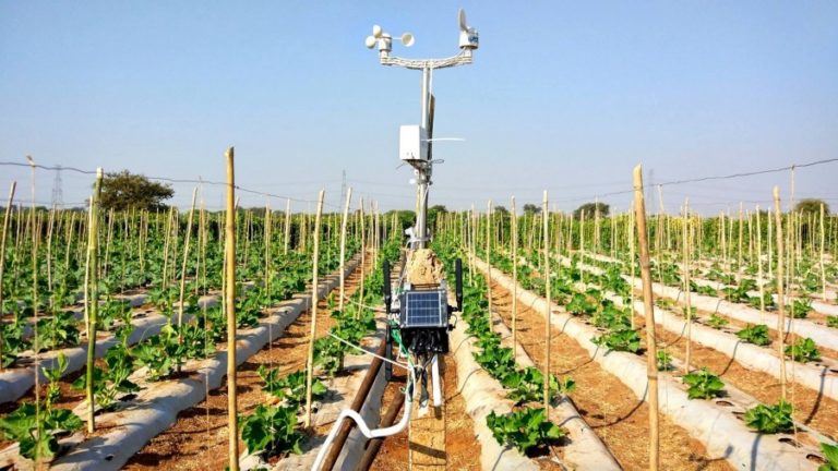 How “Fasal” Is Using AI And IoT To Help Farmers Grow More And Grow Better