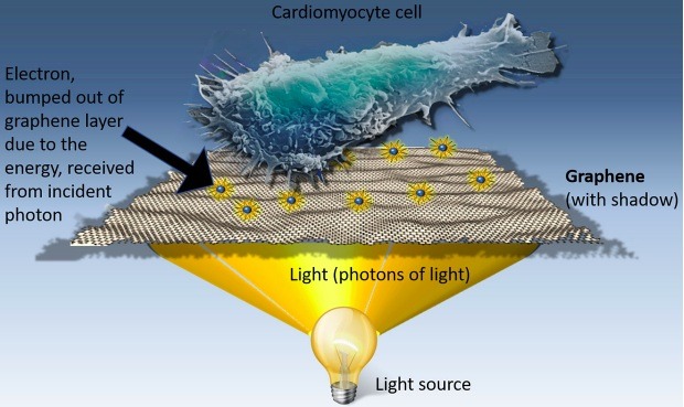 Graphene-Cancer