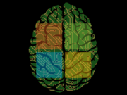 Microsoft ML.NET Machine Learning Framework