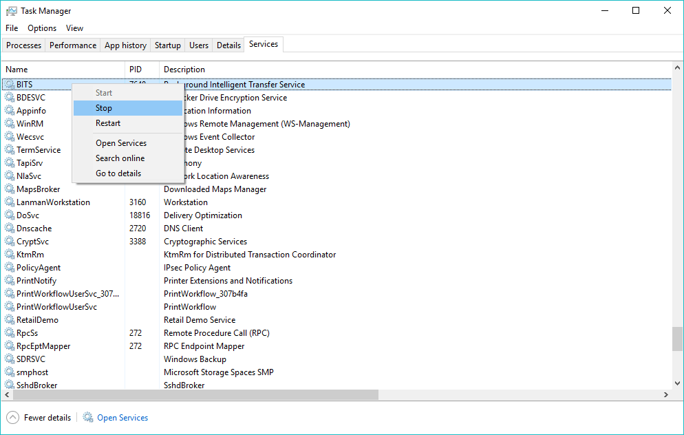 svchost.exe (netsvcs) using internet