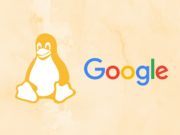 linux apps from chrome os