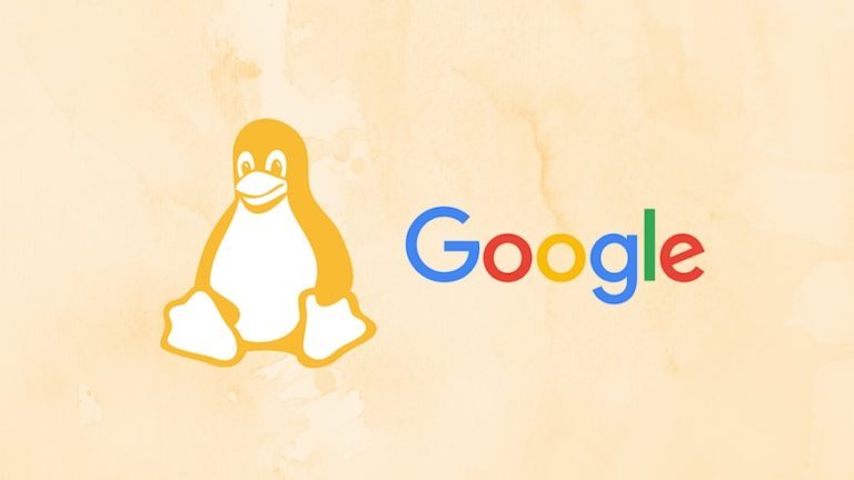 linux apps from chrome os