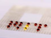 MIT Programmable droplets