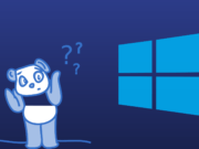 What Windows do i have