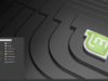 linux mint 19 cinnamon