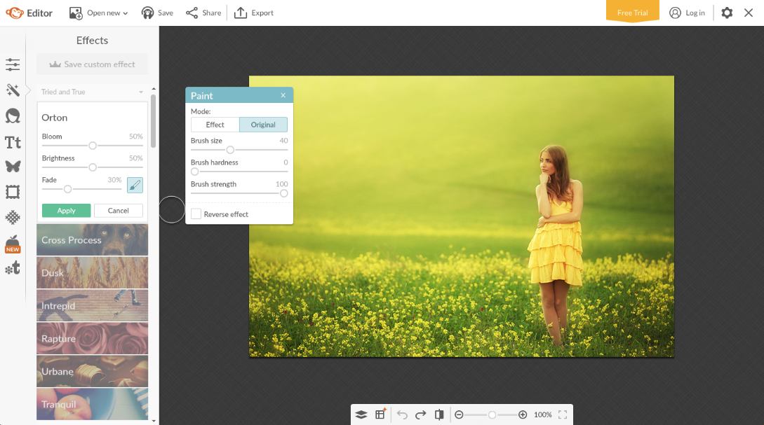 Online PhotoShop - Free Web-based Photo Editor (No Ads!)