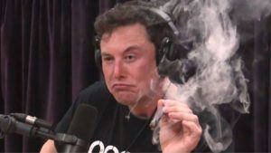 elon musk weed