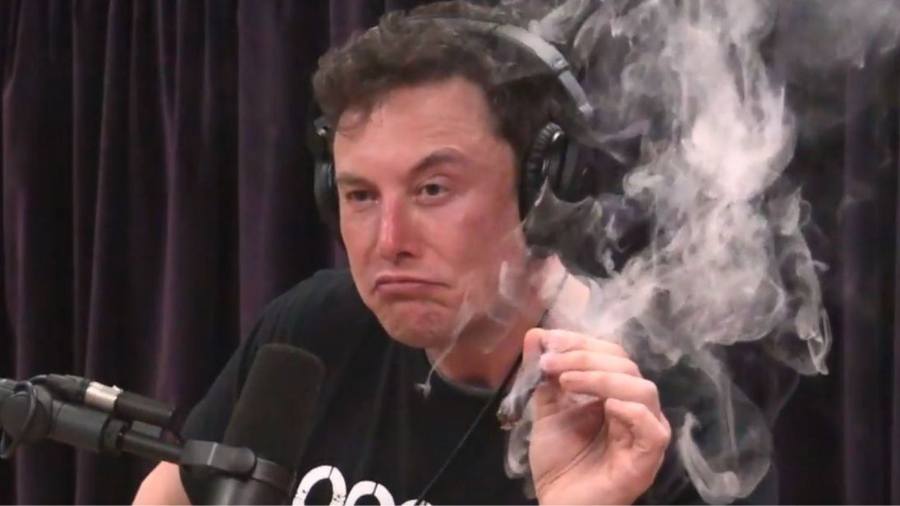 elon musk weed